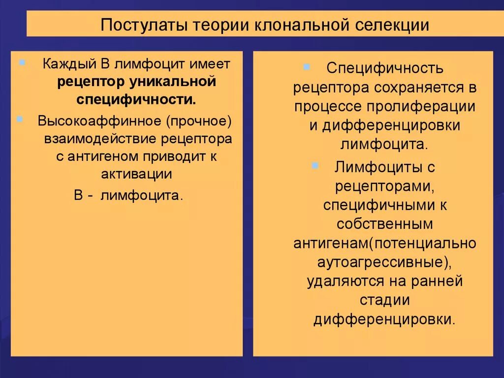 Клонально селективная теория. Клонально селективная теория. Клональная природа лейкозов. Клонально-селекционная теория. Клонально-селекционную теорию иммунитета ф.