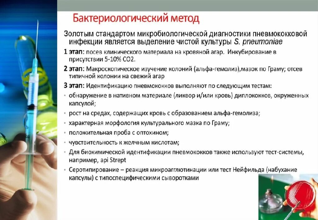 Бактериологический алгоритм. Бактериологический метод диагностики. бактериологический метод пневмококков. методы бактериологической диагностики. пневмококк методы исследования.