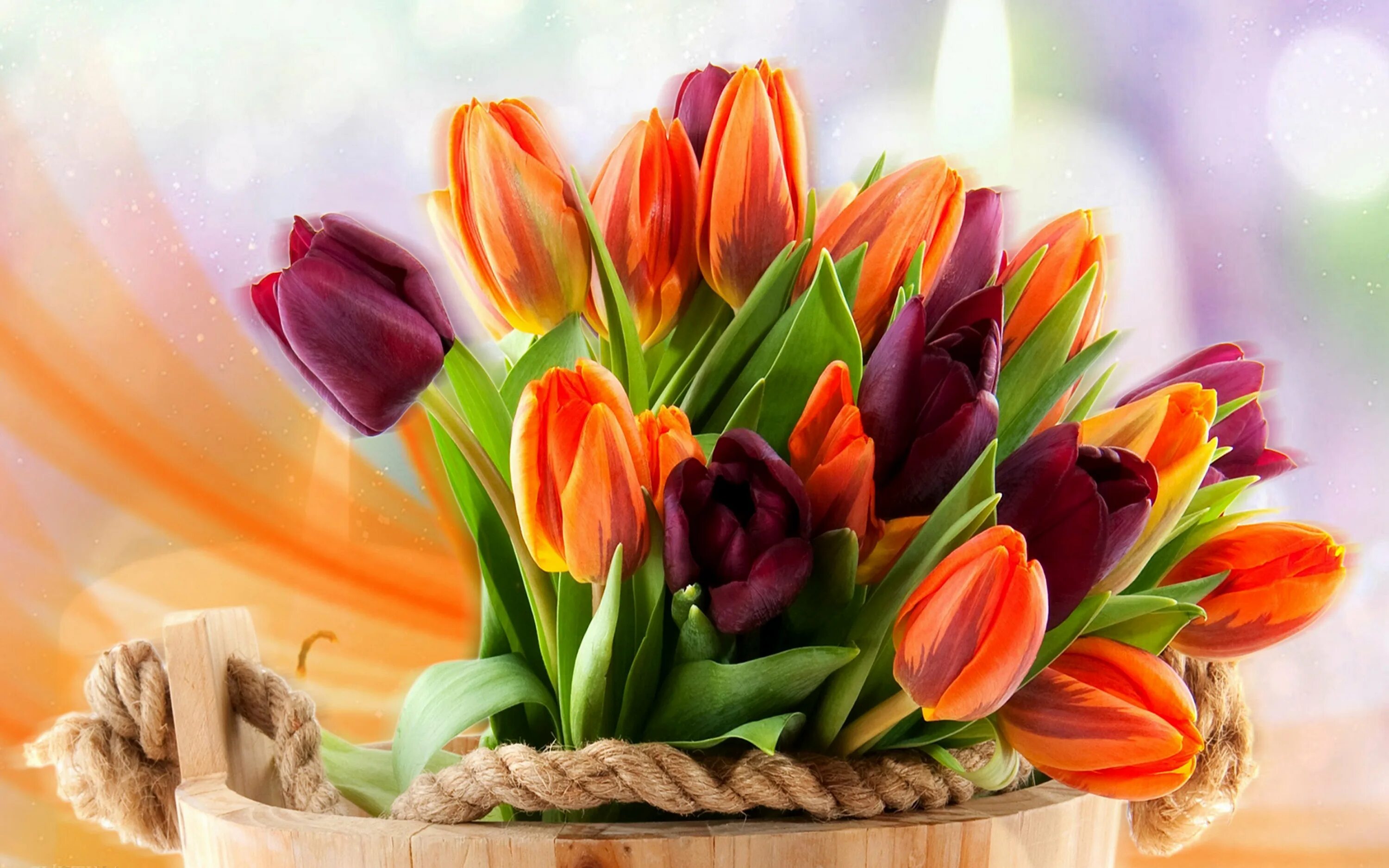 Цветы тюльпаны. Весенний букет. Красивые тюльпаны. Букет тюльпанов.