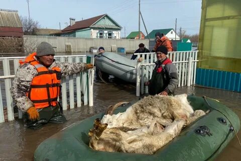 Паводок башкортостан