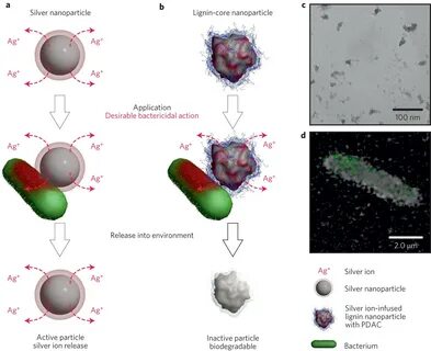Silver nanoparticles
