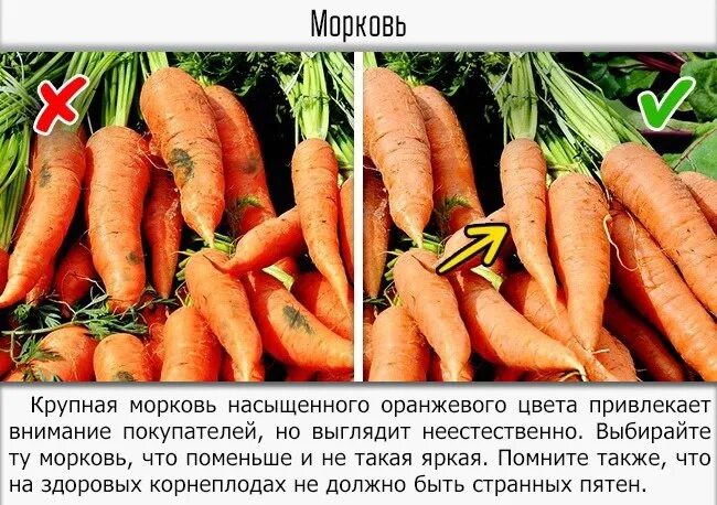 Какую морковь лучше есть. Как выбирать морковку. как выбрать морковь. как выбрать хорошую морковь. как правильно выбирать морковь.