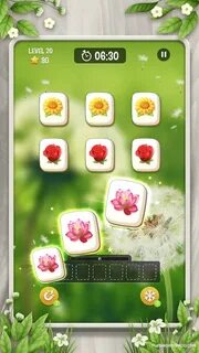 Zen blossom