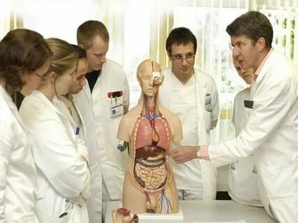 Сколько надо учиться на медика