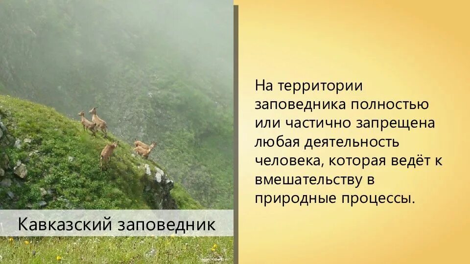 Закон об охране животных