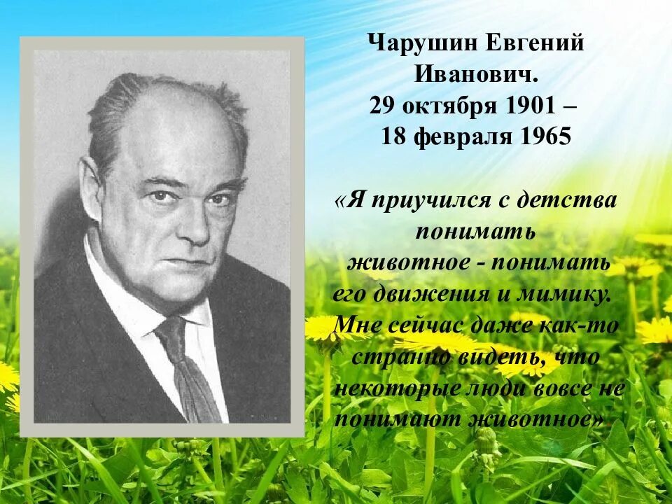 Evgeny Ivanovich Charushin. Чарушин портрет. Отчество чарушина