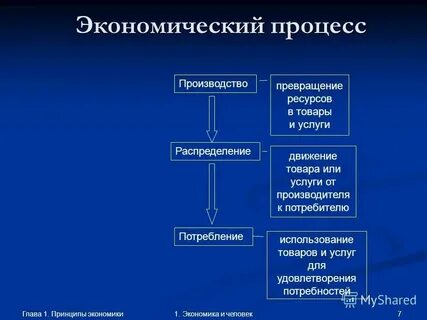 4 основных процесса экономики