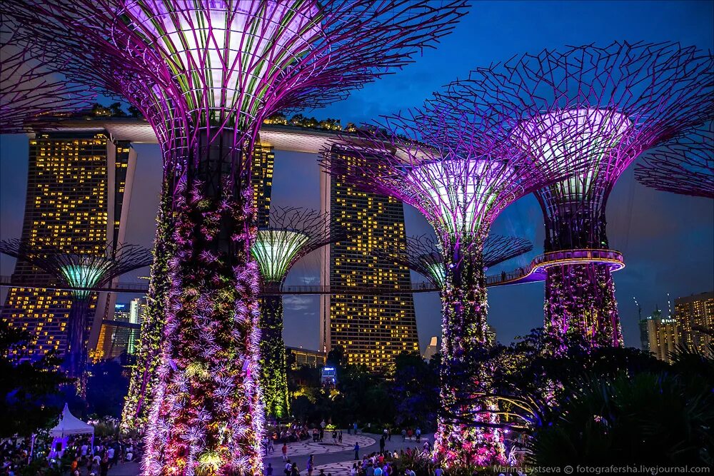 Пляж ваадху мальдивы. Остров ваадху мальдивы. Сады у залива сингапур. Фестиваль светлячков в японии. Подсветка деревьев.