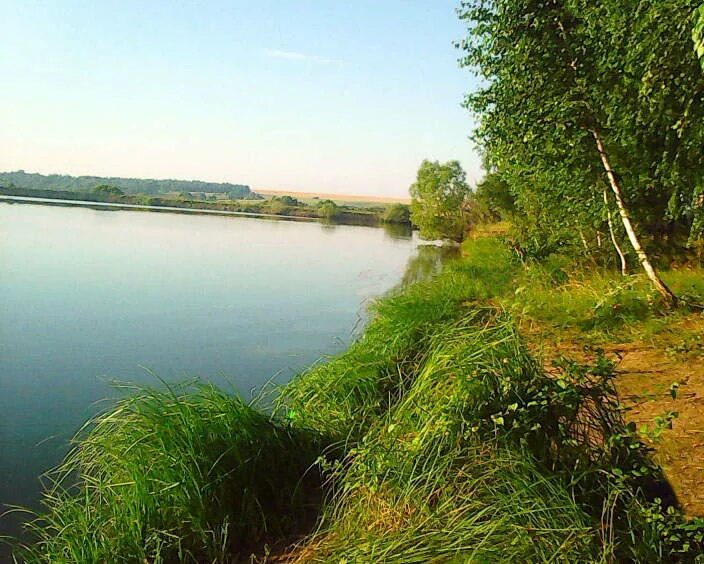 Рыбалка в орловской области в контакте. Макеево Орловская область пруд. Пруд Апальково Орловской области. Опытные пруды Орловская область. Кромской район пруды.