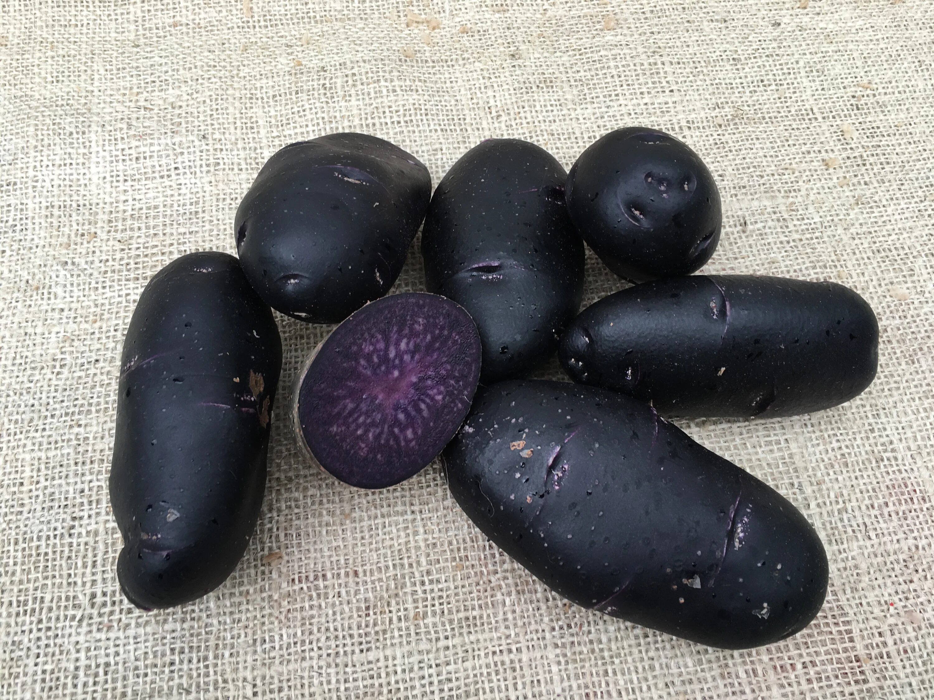 Джелли картофель характеристика отзывы. Сорт картофеля перуанский фиолетовый (Purple Peruvian). Сорт картофеля Лимонка. Чёрная картошка сорт.