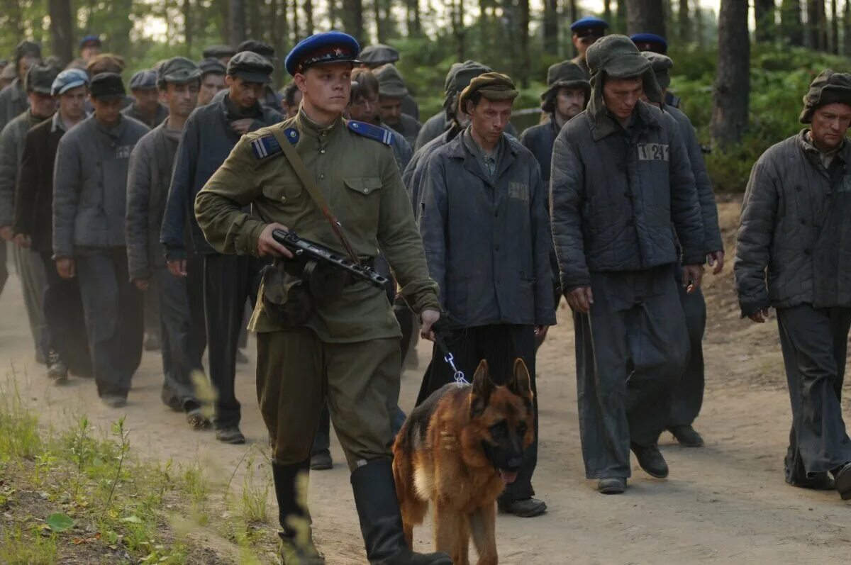 Послевоенные драмы. Послевоенные драмы. Послевоенные драмы. Послевоенные драмы. Послевоенные драмы.