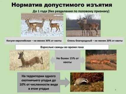 Нормативы допустимого изъятия компонентов