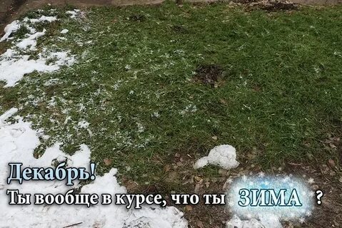 Когда уже будет снег