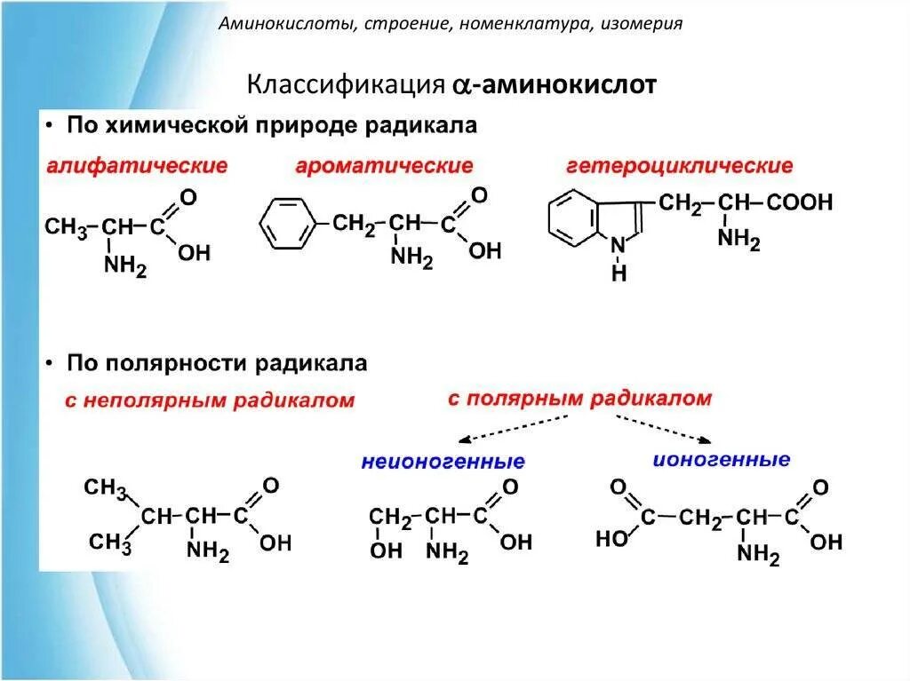 Группа входящие в состав аминокислот. Аминокислоты строение и классификация. Аминокислоты принципы строения классификация. Бета аминокислоты формула. Классификация белковых аминокислот.