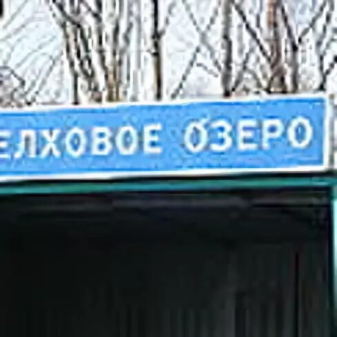 Елховое озеро Ульяновская область. Село Елховое озеро Цильнинского района Ульяновской области. Группа Елховое озеро. Елховое озеро Ульяновская область детский сад.