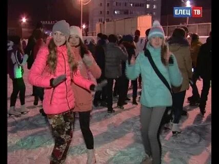 Каток елец