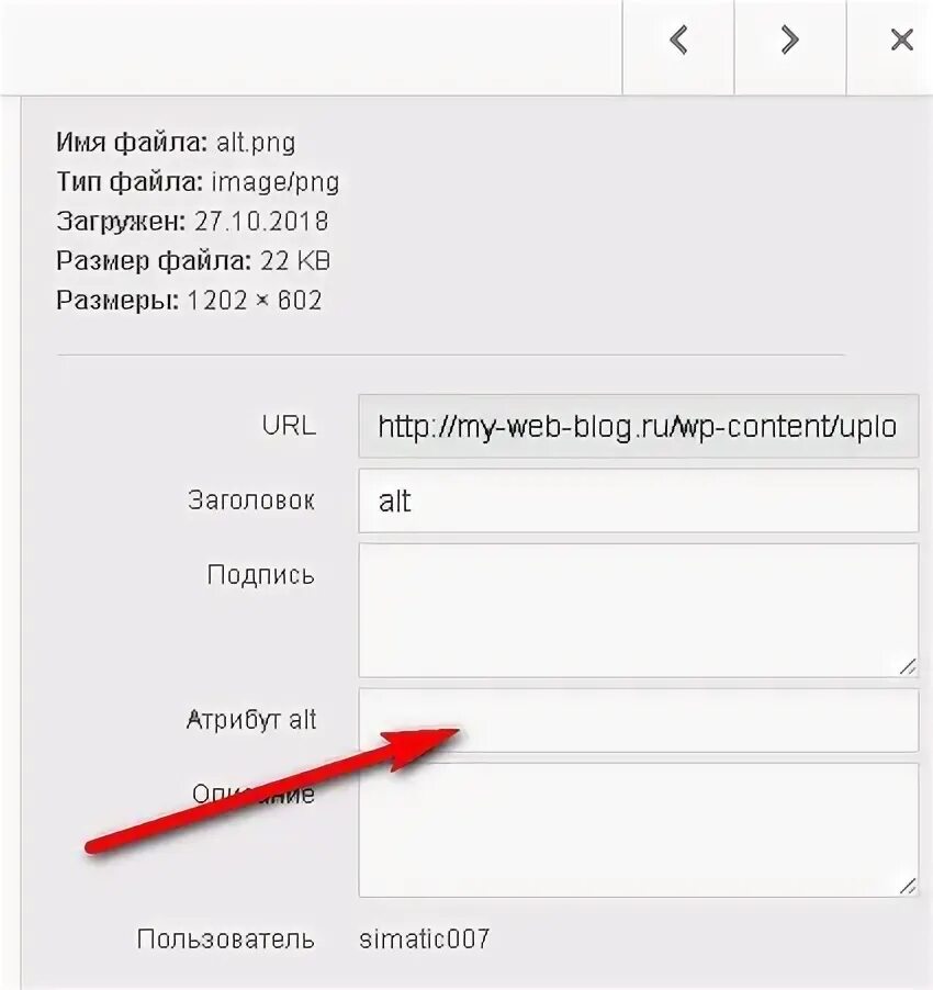 Alt и title. Alt и title для изображений. Атрибут alt для картинок что это. Alt и title для изображений. Alt атрибуты изображений что это.