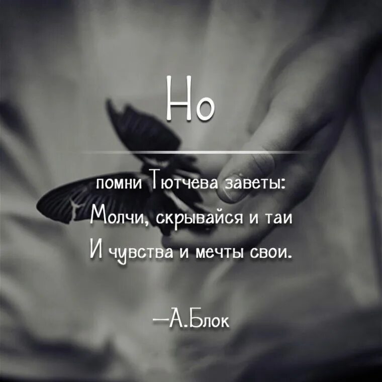 Цитаты выражающие. Красивые цитаты. цитаты про жизнь. цитаты со смыслом. красивые фразы.