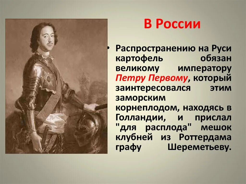 История распространения картофеля в России. Великий обязанный