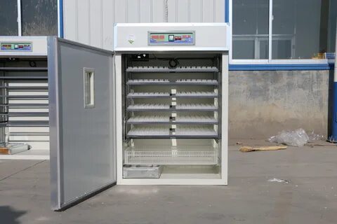 Инкубатор автоматический ово