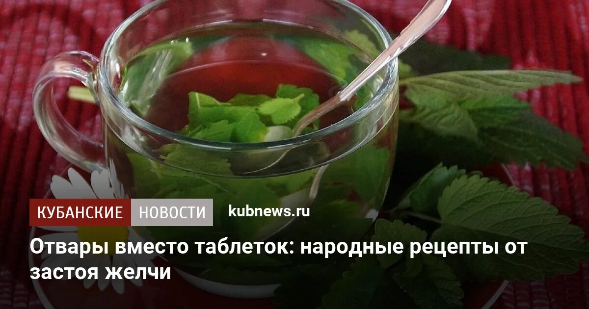 Таблетки от застоя желчи. Желчегонные препараты. Народные средства от застоя желчи. Желчегонные травы. Желчегонный препарат растительного происхождения.