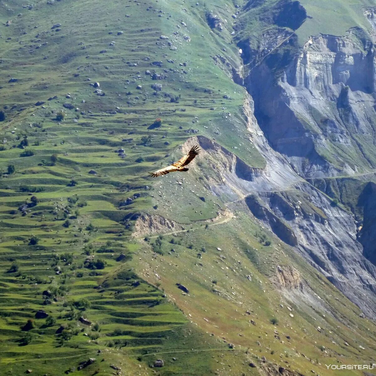 Дагестан гуниб гора маяк. Шалбуздаг священная гора. Дагестан высота над уровнем. Дагестан высота над уровнем. Дагестан высота над уровнем.