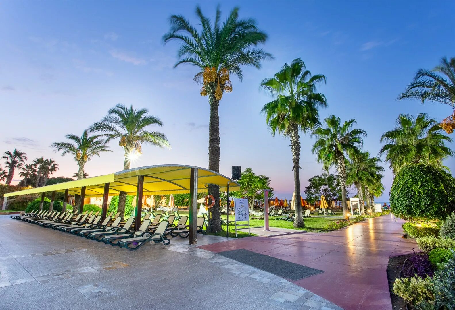 Белек бич отзывы. Pine Beach Belek 5. Пайн Бич Турция. Pine Beach Belek 5* (Belek Center). Pine Beach Resort.