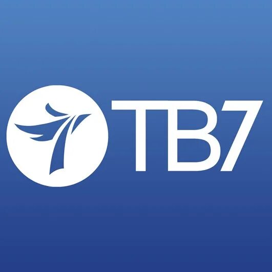 Канал про 7. 7 ТВ Телеканал. 7тв логотип. 7тв канал. Небеса тв7 logo.