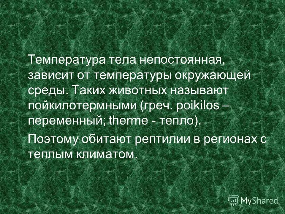 выделительная система пресмыкающиеся 7 класс. температура тела класс пресмыкающиеся. класс пресмыкающиеся линька. температура тела класс пресмыкающиеся. температура тела класс пресмыкающиеся.