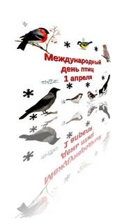 День птиц песни