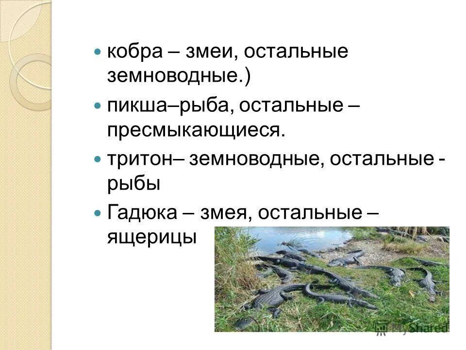 Различие земноводных от рыб. Таблица сравнения рыб и амфибий. Биология 7 класс пресмыкающиеся характеристики таблица. Отличие земноводных от рыб. Многообразие земноводных таблица по биологии 7 класс.
