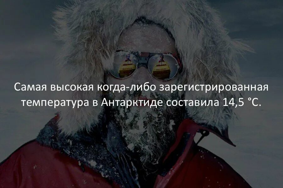 Сумасшедшие факты. Самые безумные факты. Удивительные факты в мире. Безумные факты