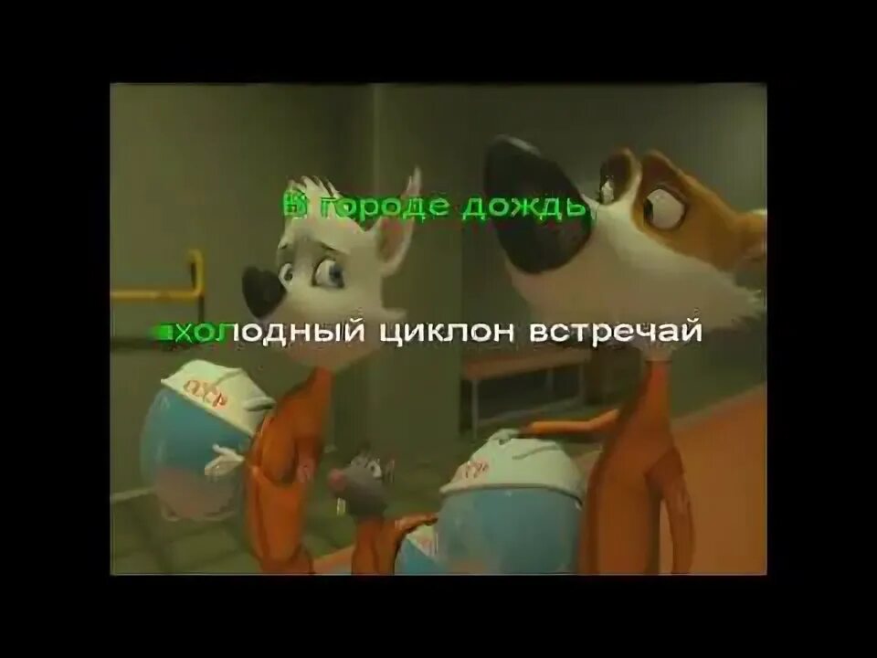 Uma2rman в городе дождь. Караоке уматурман в городе дождь. в городе дождь уматурман. в городе дождь уматурман белка и стрелка. uma2rmah в городе дождь.
