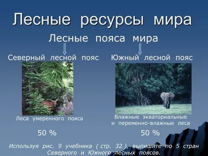 Какие ресурсы дает лес