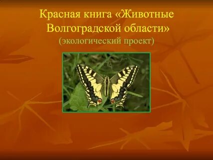 Волгоградская красная книга животные