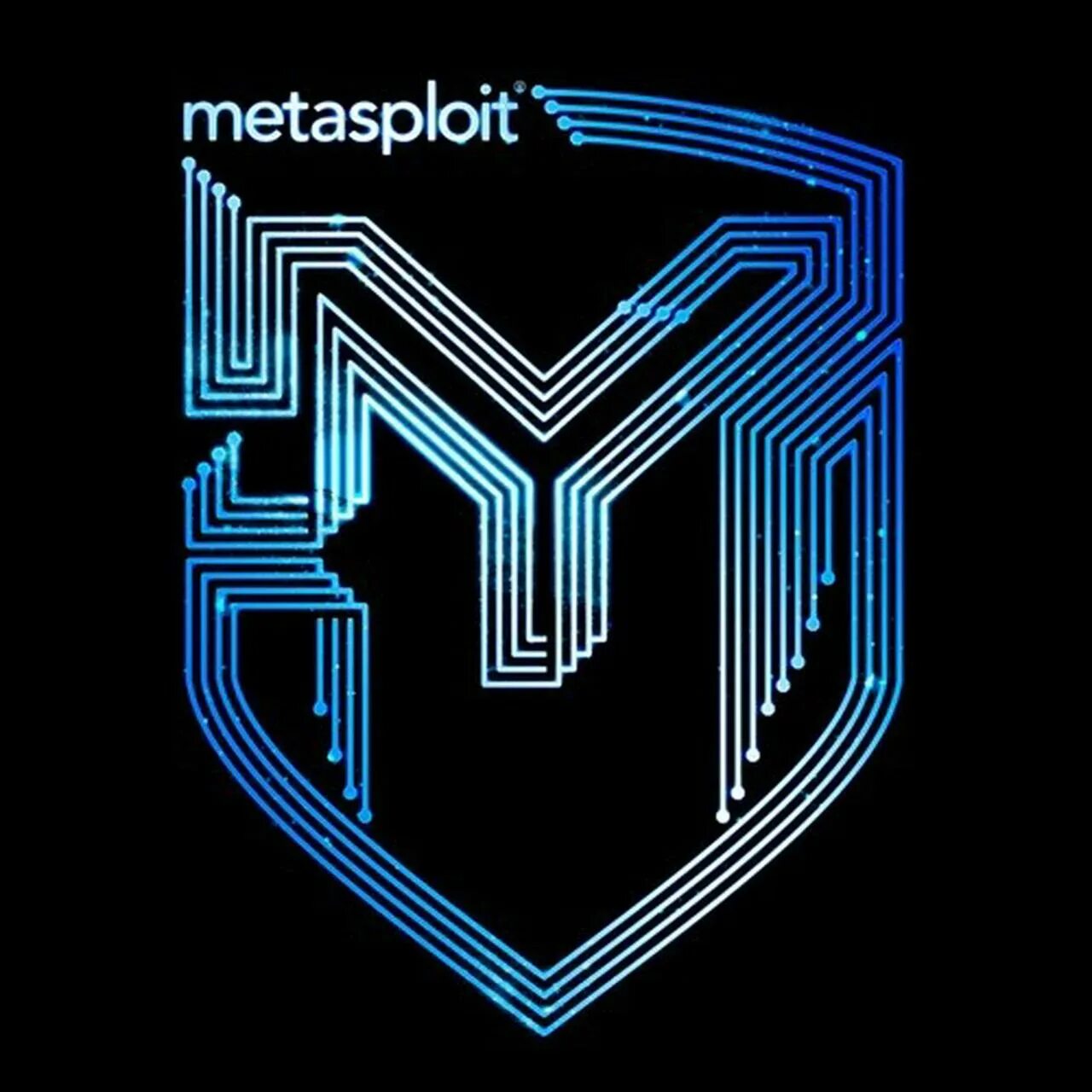 Metasploit exploits. Metasploit. metasploit logo. rapid7 metasploit. metasploit framework logo.