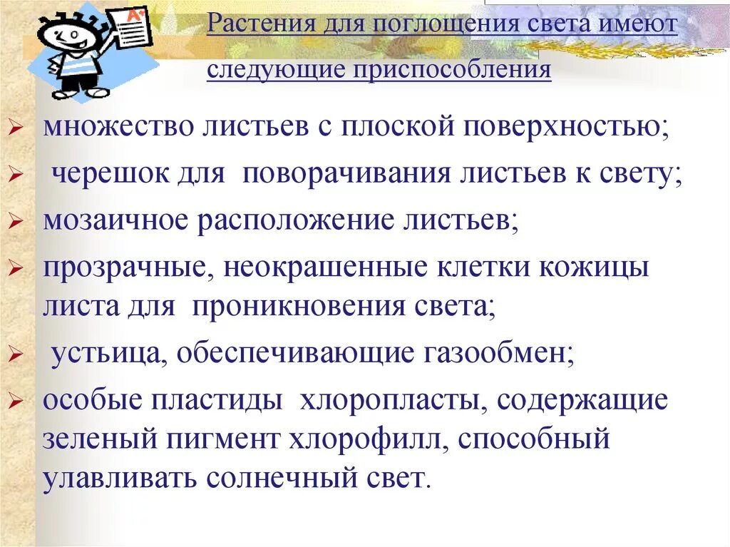 Какие приспособления к эффективному использованию световой энергии