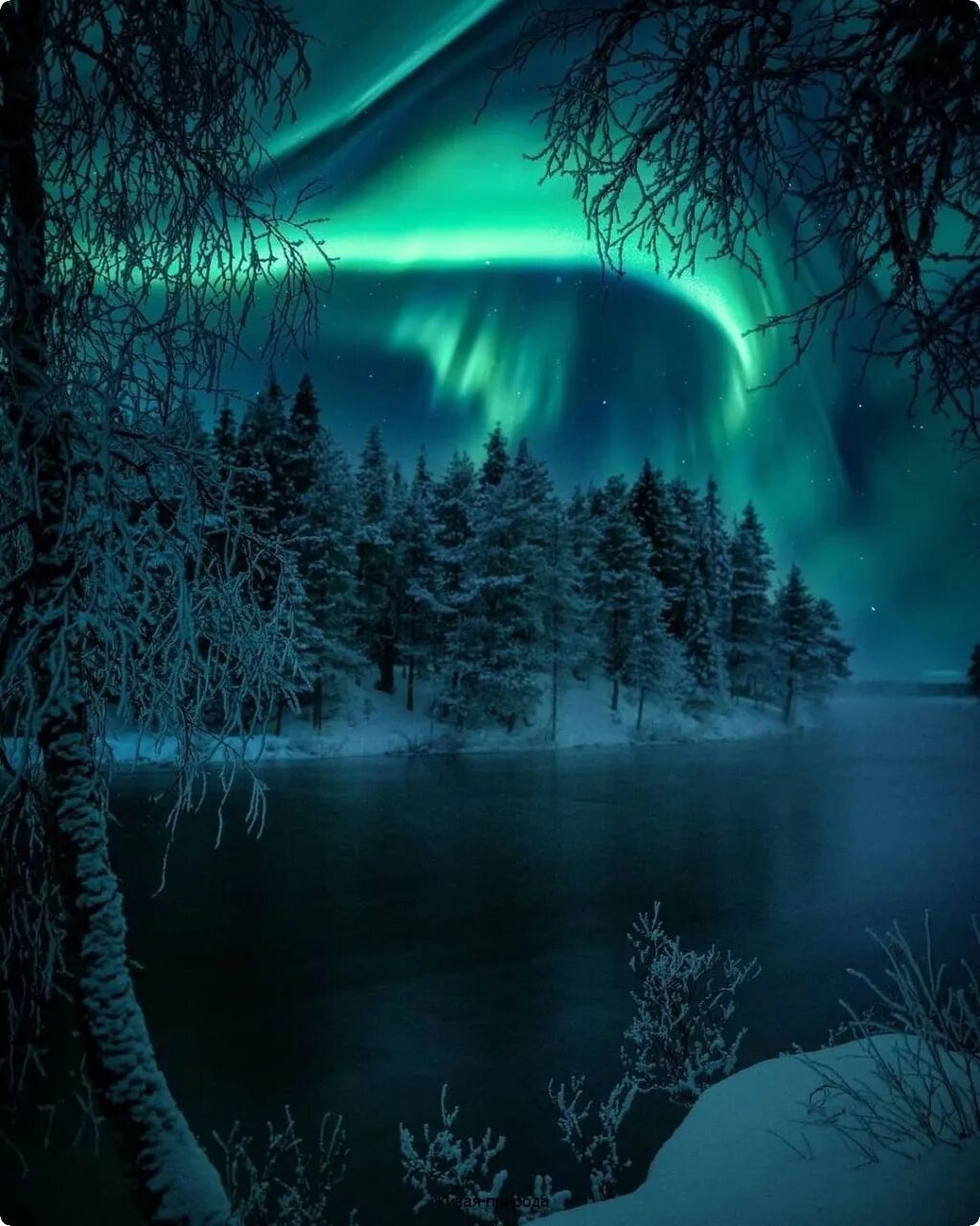 спокойной зимней ночи. доброй ночи зима красивые. доброй зимней ночи. спокойной ночи зимой. спокойной зимней ночи.