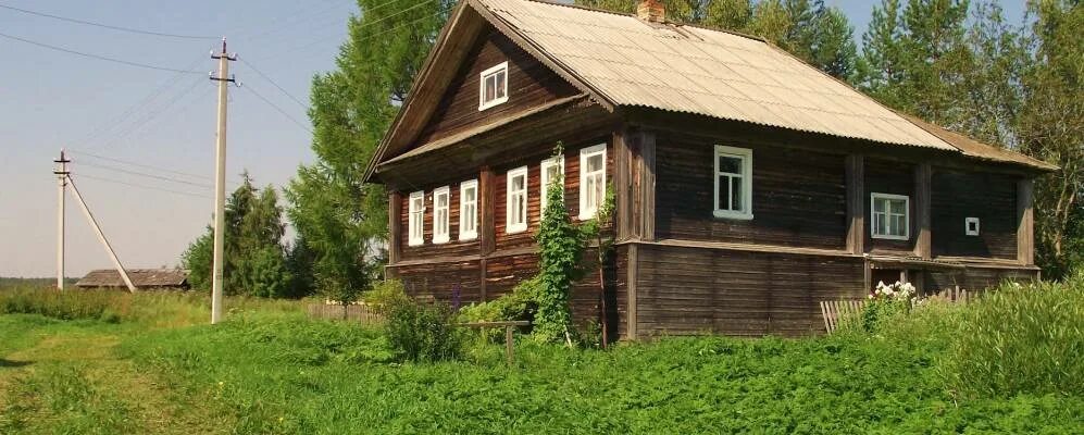 Деревня Тимониха Вологодской области. Деревня Тимониха Харовский район. Тимониха Вологодская область Харовский район. Лобаниха деревня Вологодская область.