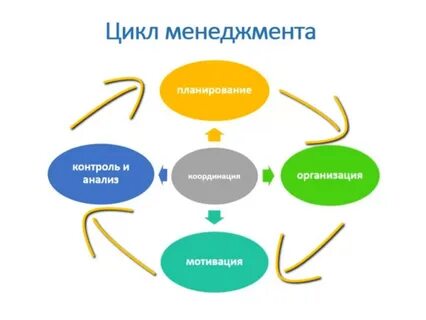 Функции менеджмента цикл менеджмента
