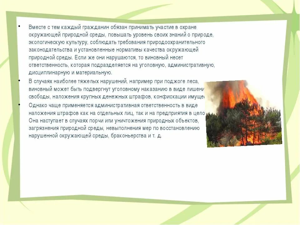 Граждане обязаны сохранять природу и окружающую среду. Продукт для темы природа под охраной закона. Законы продукт для темы природа под охраной закона. Продукт по теме природа под охраной закона. Лес под охраной закона.