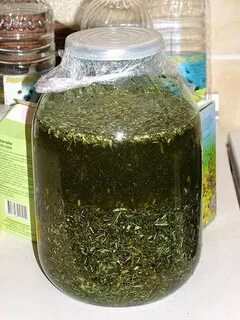 Настой для аквариума