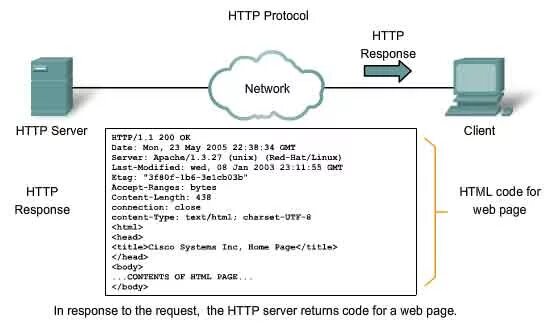 Client response. Html протокол. Протокол хтмл. CSS протокол. Request response.