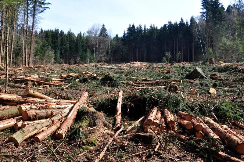 Problems logging