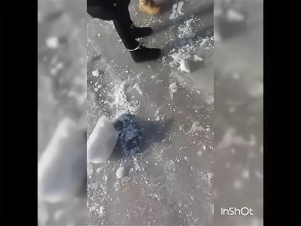 Гусь скользит по льду. Скользкий лед небеса. марф скользит на льду. остроносый кит ломает лед. а.круз лед ; скользкий.