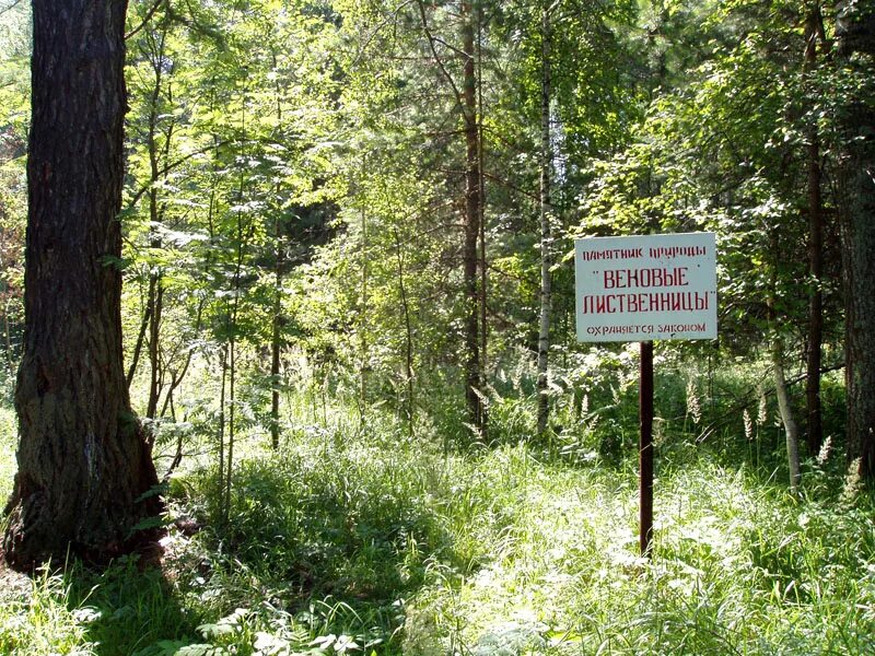 Значение природных парков. Земли особоохраняймых территорий и объектов. охраняемые природные территории. особо охраняемых территорий и объектов. земли особо охраняемых природных территорий и объектов.