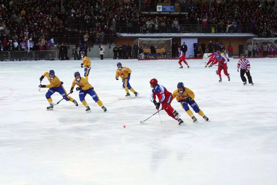 Хоккей с шайбой 2009. Хоккей с мячом на льду. Чемпионат Бразилии по хоккею с шайбой. Сборная Италии по хоккею с шайбой. Соревнования по хоккею с шайбой.