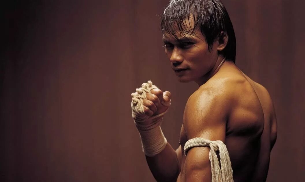 тони джа онг бак 2003. про тай. мао тай бокс. тони джаа (tony jaa). тони джаа онг бак.