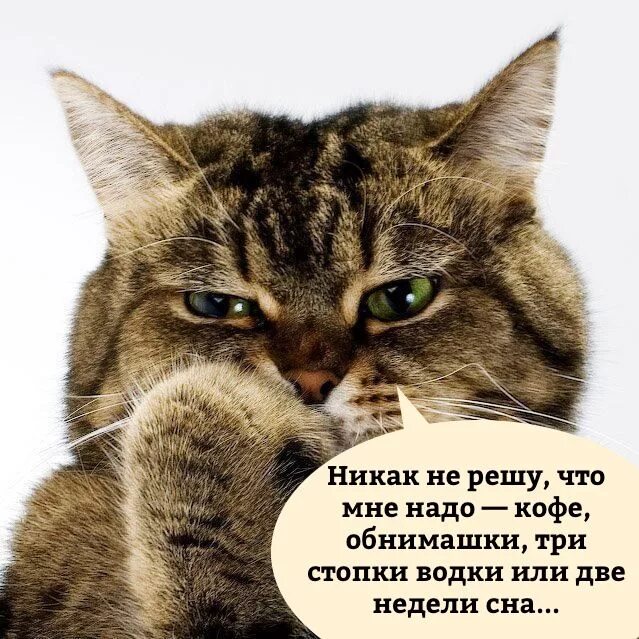 Никак не проявляется. Никак не решу что мне надо. котик сомневается. никак не решу что мне надо кофе обнимашки. картинка никак не решу что мне надо.