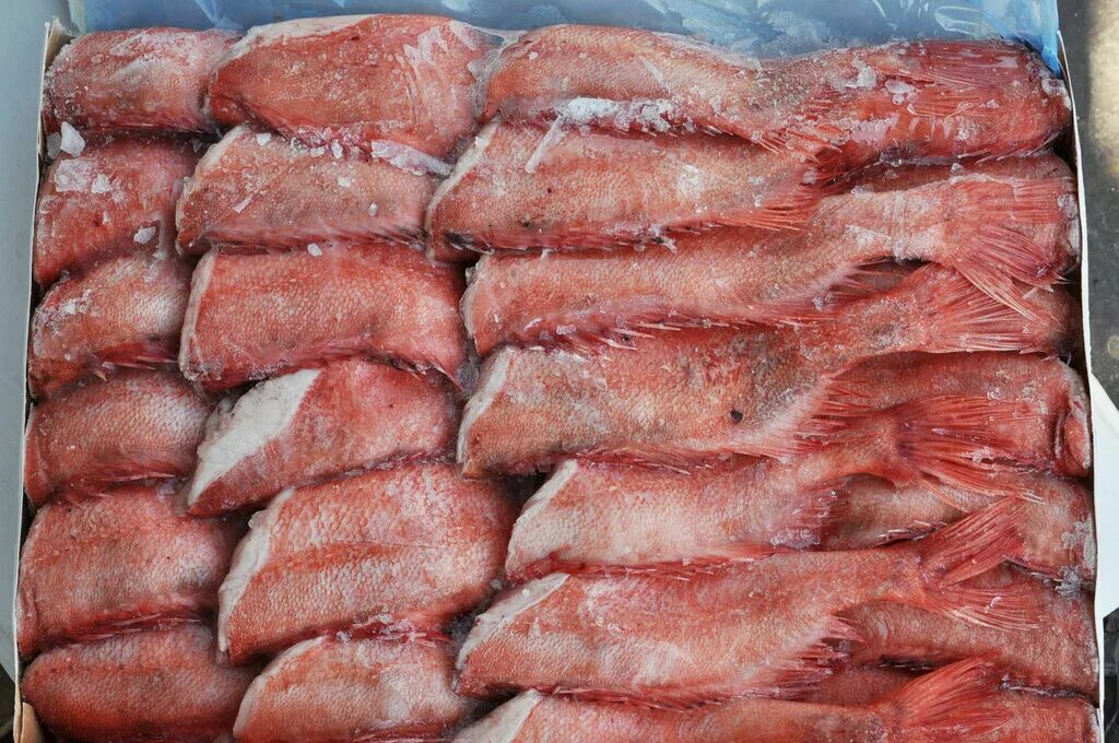 ооо исток. сельдь атлантическая ж/б. продукция рыбомиров. исток рыба санкт петербург. исток рыбная компания.